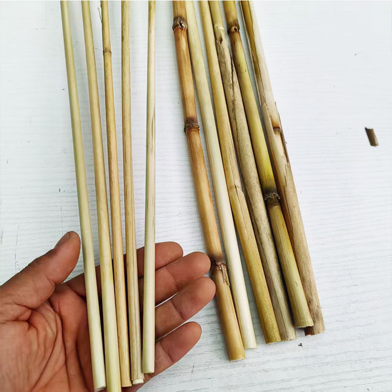茅草杆毛草干芒草芦苇干枝条天然栅栏编织手工装饰干枯黄色竹枝