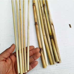 茅草杆毛草干芒草芦苇干枝条天然栅栏编织手工装饰干枯黄色竹枝