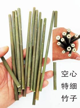 超细小竹棒空心竹条绿色竹子