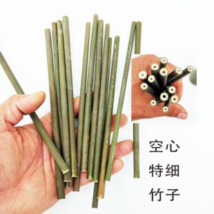 特细竹细竹子小笠竹 超细小竹子竹竿细长小竹棒竹吸管空心竹条