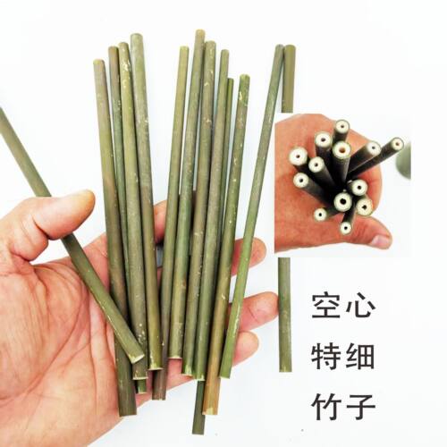 超细小竹棒空心竹条绿色竹子