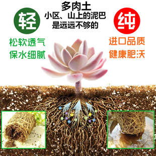 多肉营养土赤玉土鹿沼土蛭石陶粒多元土麦饭石黄金石火山石缓释肥