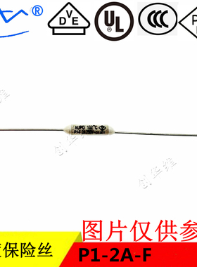 AUPO雅宝 电阻式温度保险丝 P1-2A-F 2A250V 102度 合金型保险管