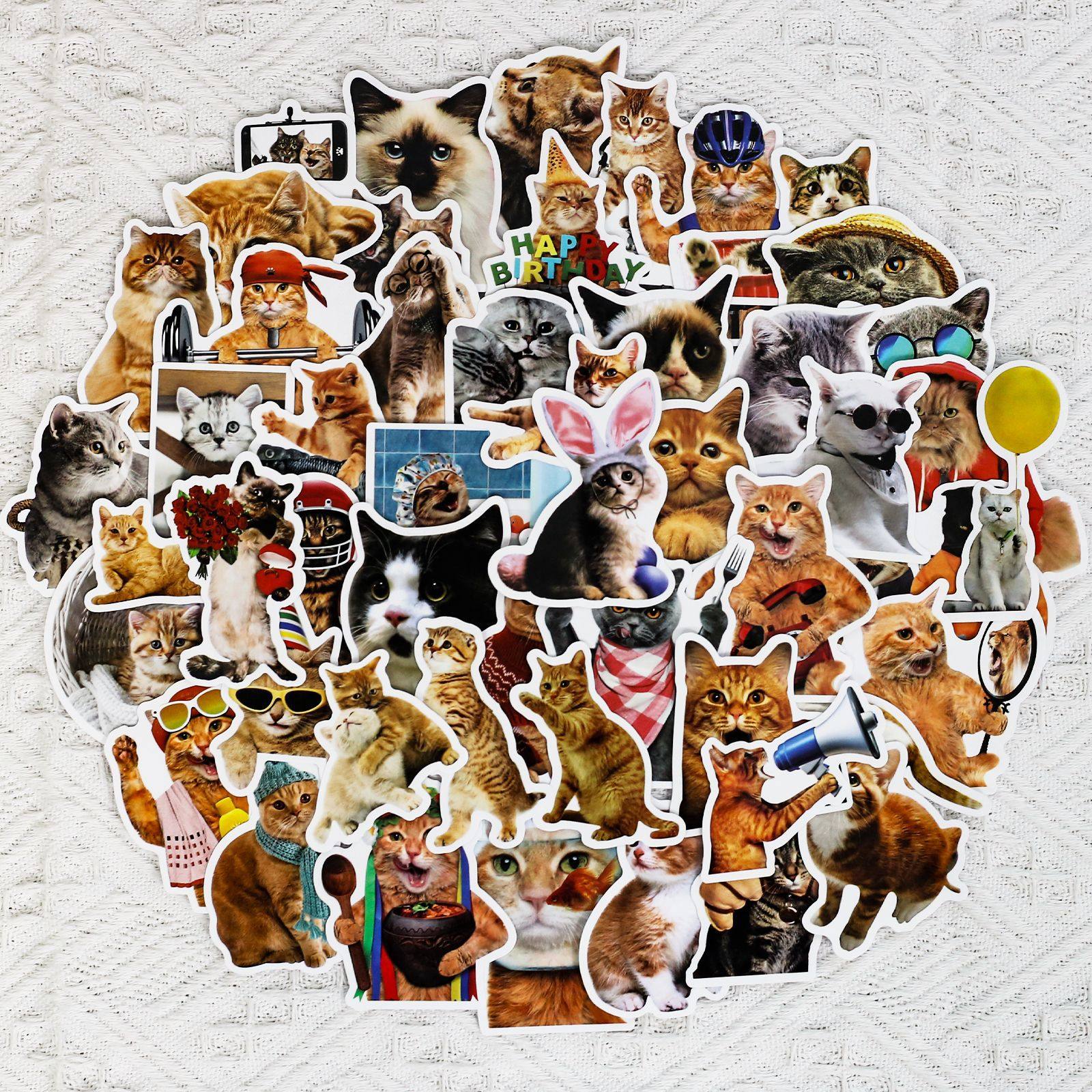 50张卡通猫咪表情包可爱贴纸水杯搞笑笔记本儿童钓箱装饰汽车贴画,3C数码配件,笔记本个性小贴纸,淘宝优惠券,粉丝福利购,淘宝优惠卷