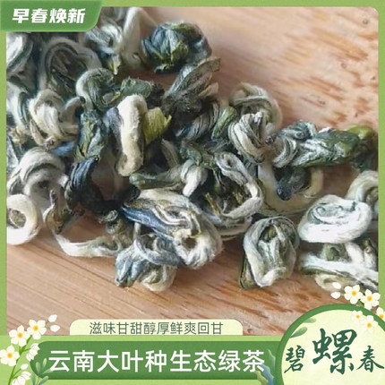 2026年云南绿茶新茶浓香型茶叶散装明前优质滇绿碧螺春茶叶自己喝