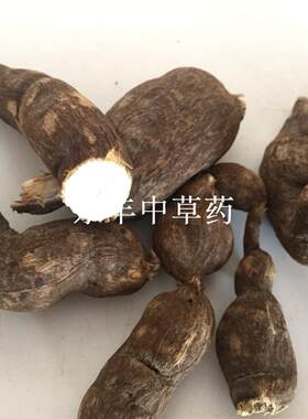 单叶铁线莲拐子药地雷雪里开贼