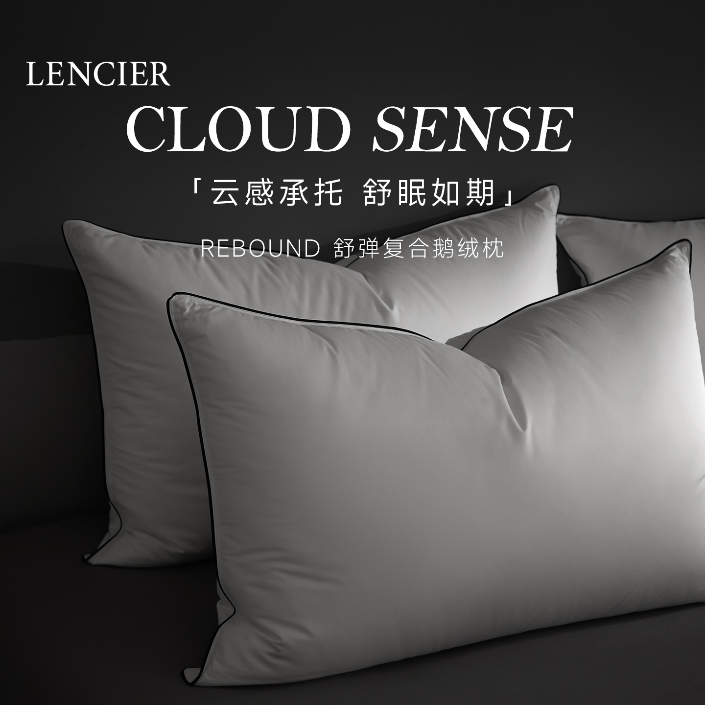 羽绒枕95白鹅绒100支全棉