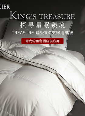 LENCIER兰叙高奢100支95臻极白鹅绒被羽绒被春秋被子被芯全棉被冬