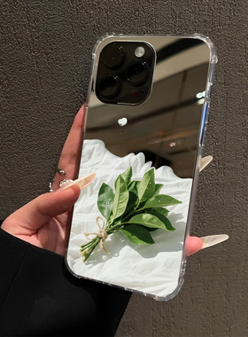 一把柚子叶适用iPhone17pro镜面16promax去晦气15Pro苹果14手机壳xsmax补妆13简约xr情侣78plus创意12植物Air