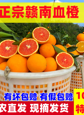 江西赣南血橙新鲜红肉橙赣州安远橙子现摘发货新鲜水果特大精品