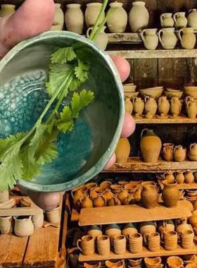 跨境现货Pottery Herb Stripper Bowl树脂香草剥离碗药草剥离器