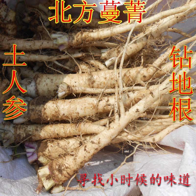 现挖特级蔓菁根叶小菜根猪尾巴根煮粥腌菜甜疙瘩菜诸葛菜包邮