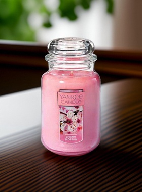 yankee杨扬基香薰蜡春暖樱花cherryblossom盛放Festival香薰蜡烛