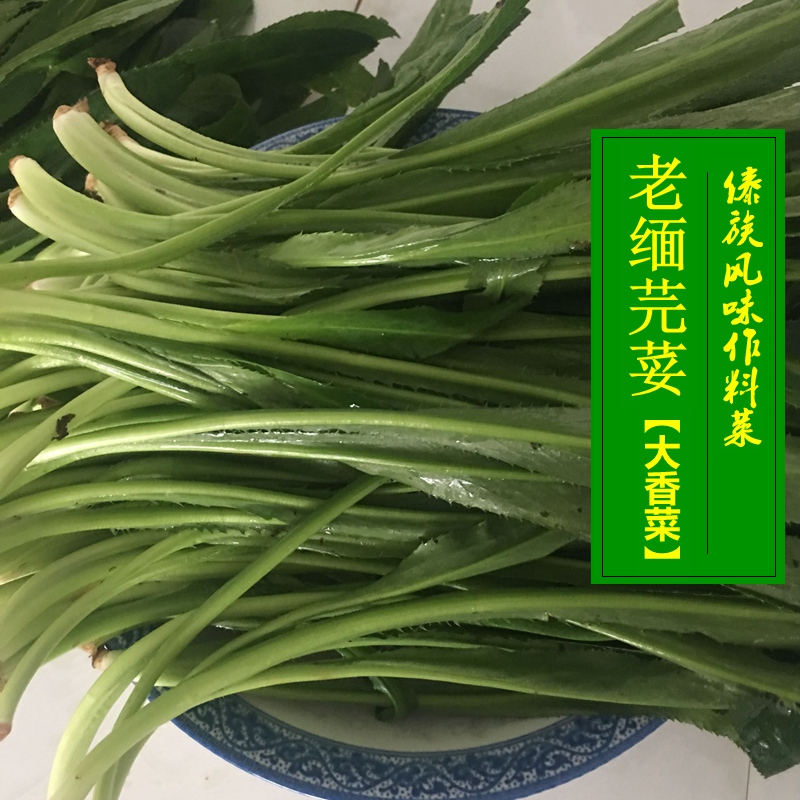 云南新鲜老缅芫荽1斤傣味大香菜刺芹撒撇拌菜作料蘸水农家自种 水产肉类/新鲜蔬果/熟食 其它 原图主图