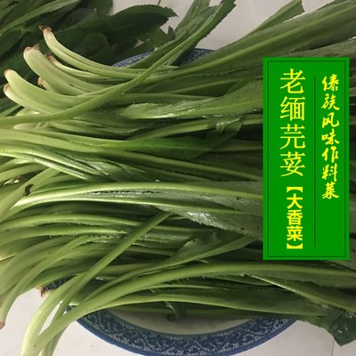 云南新鲜老缅芫荽1斤傣味大香菜刺芹撒撇拌菜作料蘸水农家自种