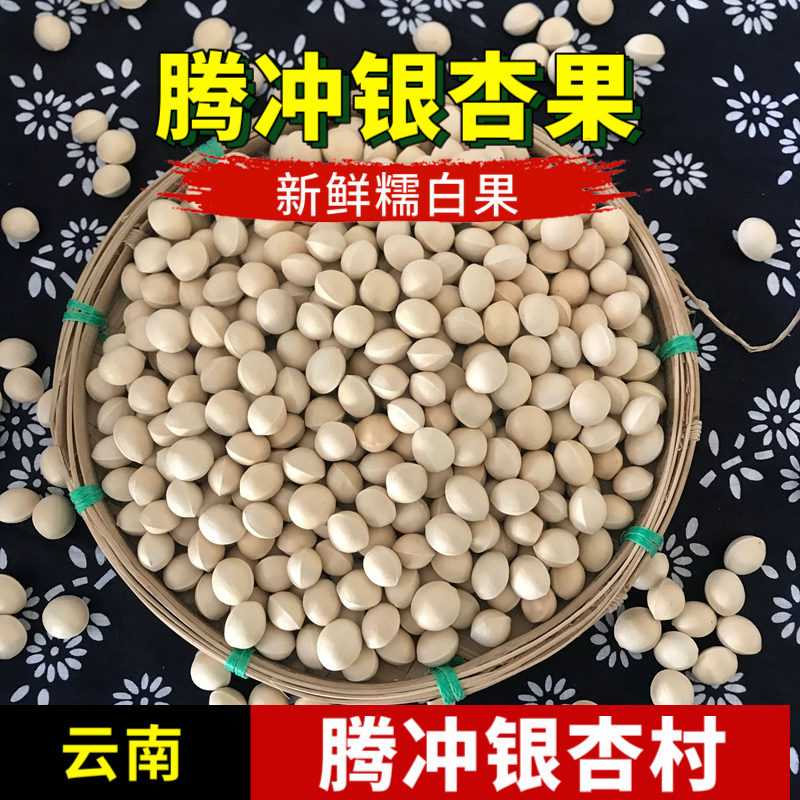 云南腾冲银杏果500克新鲜糯白果腾冲银杏村特产古树老品种白果