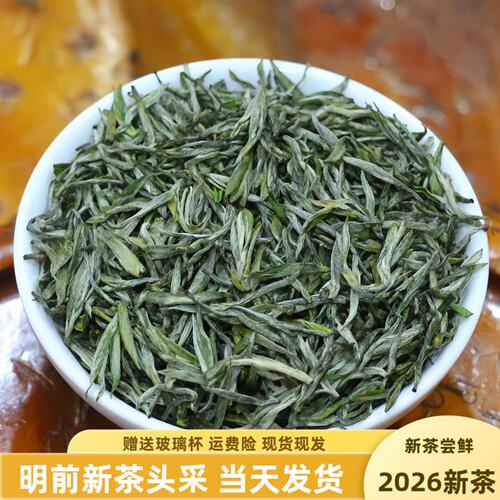 2026新茶栗香毛尖明前贡芽250g
