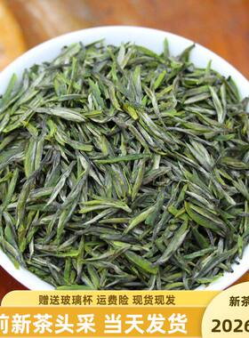 茶叶绿茶五峰毛尖雨花A贡芽头采