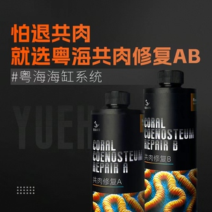 粤海共肉修复珊瑚细菌感染布朗冻杀菌火柴头细菌感染修复共生肉
