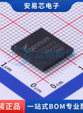 GS2972-IBE3 封装BGA-100 串行器/解串器 全新原装