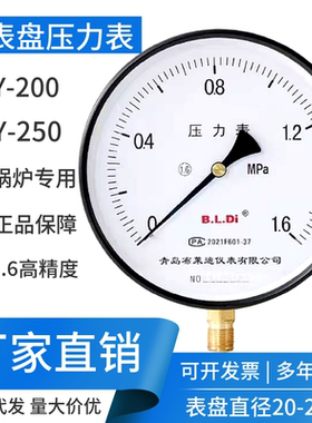 布莱迪Y200-Y250锅炉压力表大表盘高温 水压 蒸汽 0-1.6mpa16公斤