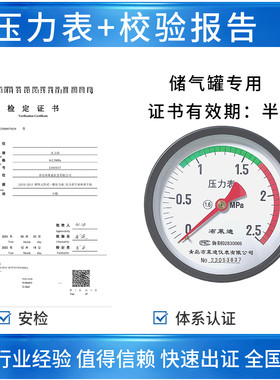 布莱迪储气罐轴向彩色表盘Y100