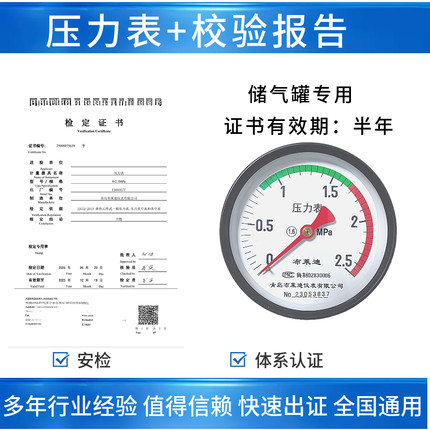 布莱迪轴向背接式储气罐压力表Y100Z彩色Y60Z*1.6mpa临东压力容器