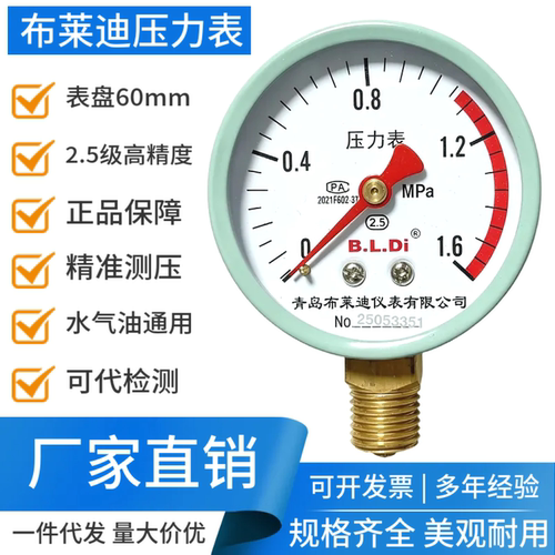 布莱迪压力表Y60径向16公斤压力