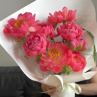 落日珊瑚重瓣芍药花大花苞鲜切花芍药花室内客厅插花易养开牡丹花