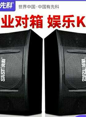 先科家庭k歌酒吧卡包音箱