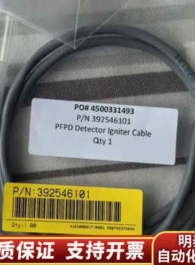 布鲁克PFPD点火线圈.询价