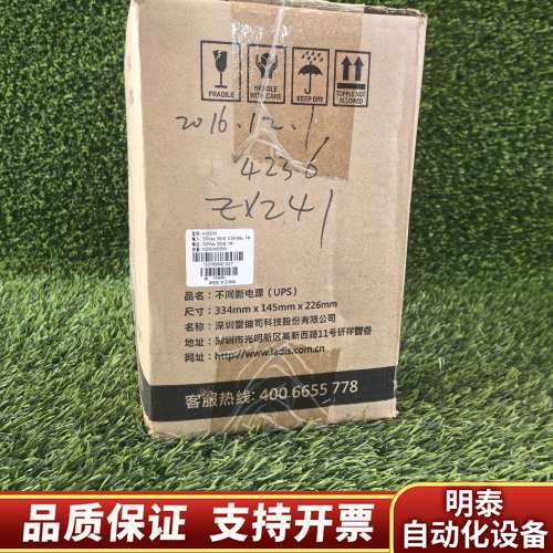 H1000M雷迪司UPS间断电源1000va,600w询价