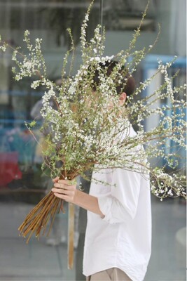 干支雪柳鲜花鲜枝雪柳花泡水开花懒人植物桃花马醉木雀舌小森林 Love Life 乐乐 淘优券
