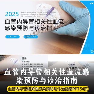 血管内导管相关性血流感染预防与诊治指南PPT 2025最新专家共识
