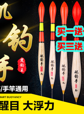买一送一远投矶钓漂醒目豆近视鱼漂加粗尾船钓海钓大物超大浮力
