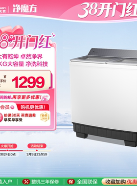 小天鹅洗衣机半自动16KG超大容量租房家用波轮双桶双缸TP16S158