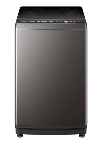 Littleswan/小天鹅 TB100V81DT