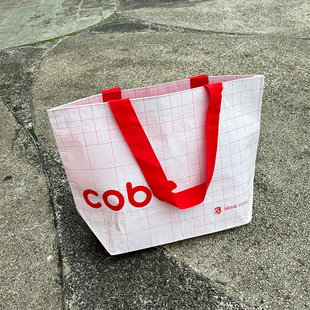 加厚丽新布覆膜购物袋时尚单肩包大容量环保袋旅行家居收纳袋手提