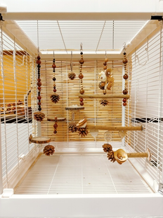 【我的可爱鹦鹉】鹦鹉玩具鸟笼装饰挂件新中式美学风秋千10件套