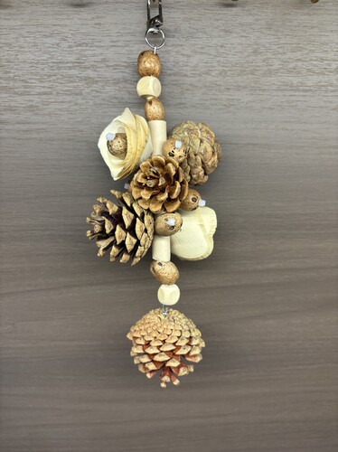 【我的可爱鹦鹉】鹦鹉啃咬玩具咬串磨牙解闷松果坚鸟笼装饰挂件