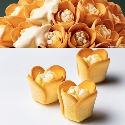 TULIPROSE奶油夹心郁金香