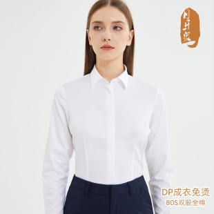 80支全棉DP免烫衬衫 衬衣 女士商务上班方领暗门襟纯棉长袖 抗皱正装