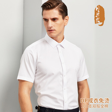 DP免烫白衬衫男短袖100支纯棉夏季工作服定制绣LOGO商务抗皱衬衣