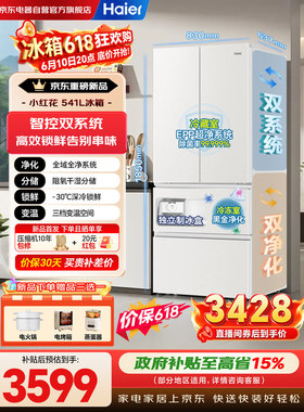 Haier/海尔BCD-541WGHFDC9GPU1双系统循环全空间保鲜EPP超净冰箱