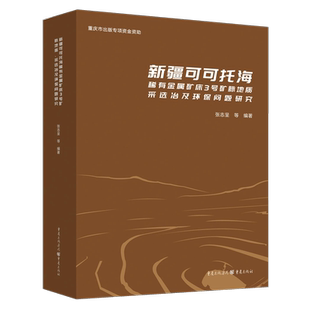 《新疆可可托海稀有金属矿床3号矿脉地质、采选冶及环保问题研究》张志呈等编著 重庆出版社 矿业与环保两弹一星稀有金属