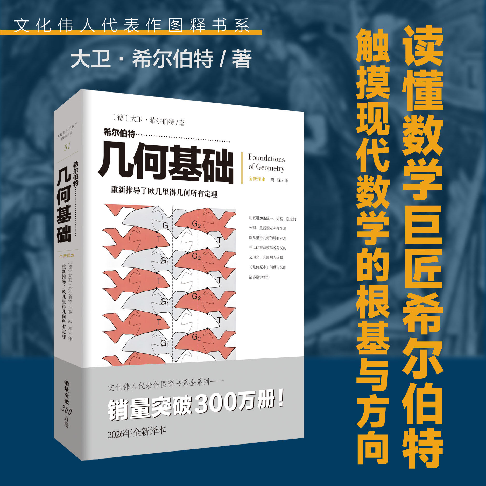 希尔伯特几何基础文化伟人代表作图释书系51数学几何原本欧几里得公理化方法系统畅销经典自然科学公理化体系点直线平面哥廷根学派