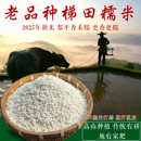 老品种糯米2025年新米优质黎平农家香禾糯贵州高山梯田5斤