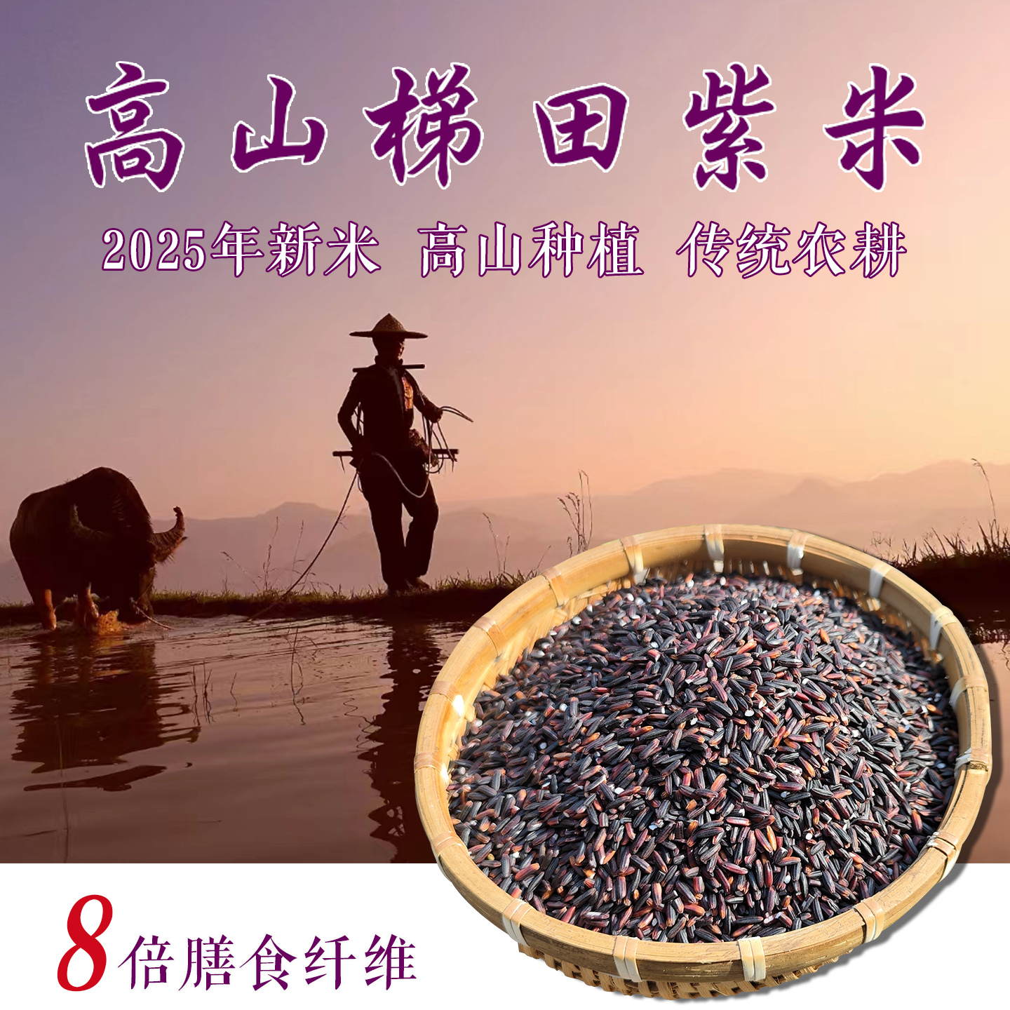 2025年新米紫米高山梯田种植