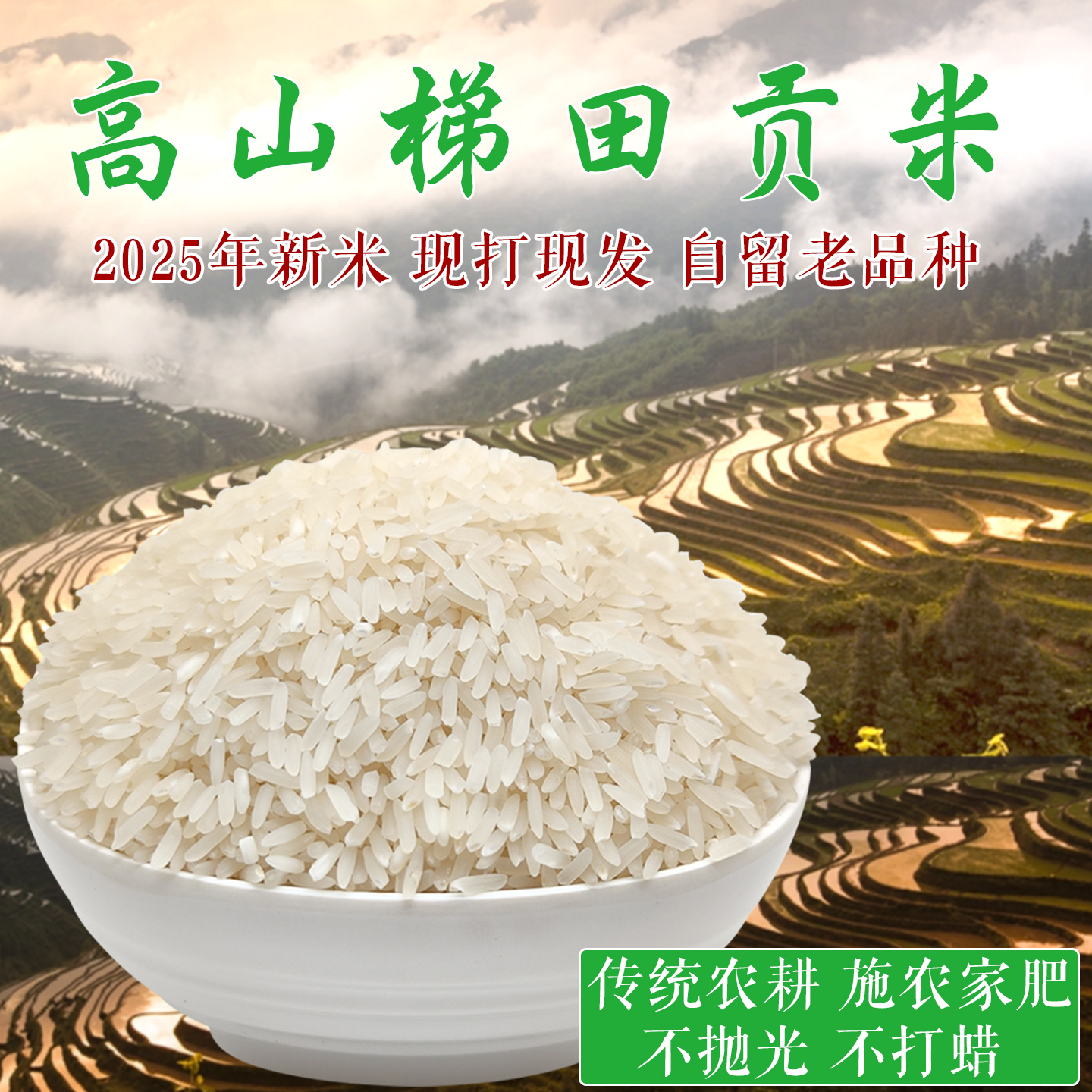 2025新米，高山梯田贡米