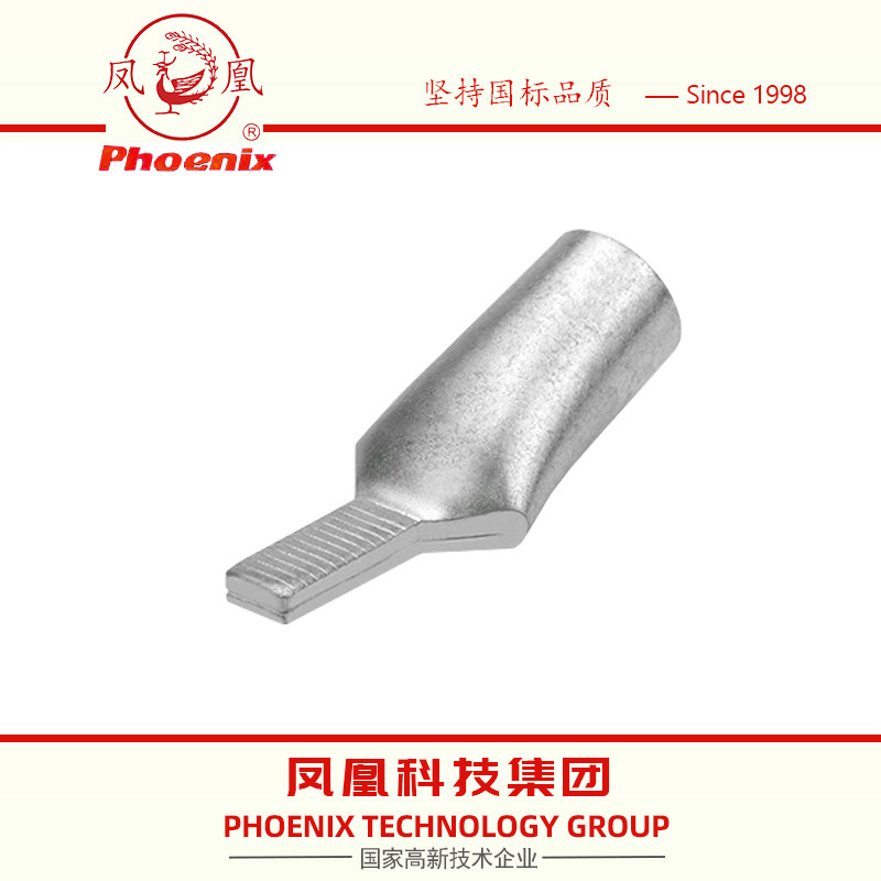 c45-6平方凤凰a级国标鸭嘴铜鼻紫铜镀锡线耳接线端子c45插针100只